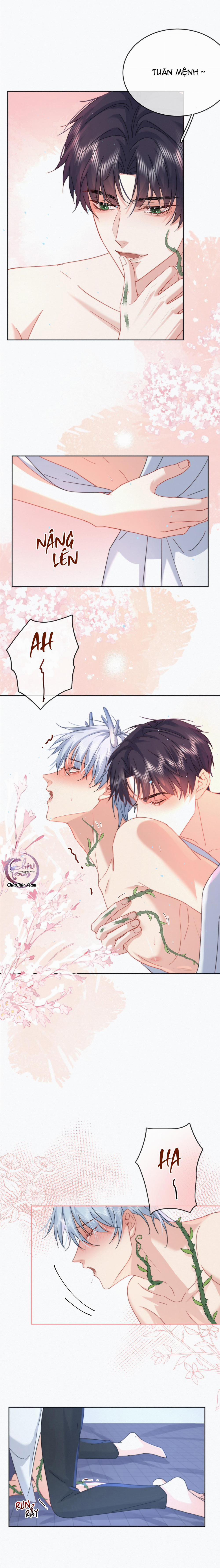 Giáo Huấn Em Trai Hư Hỏng 8 trang 5