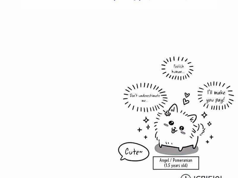 Giáo Sư Gián Điệp 11 trang 243