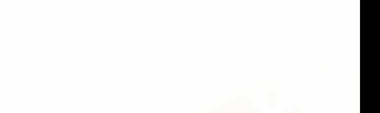 Giết Chết Ác Nữ Phản Diện 59 trang 74