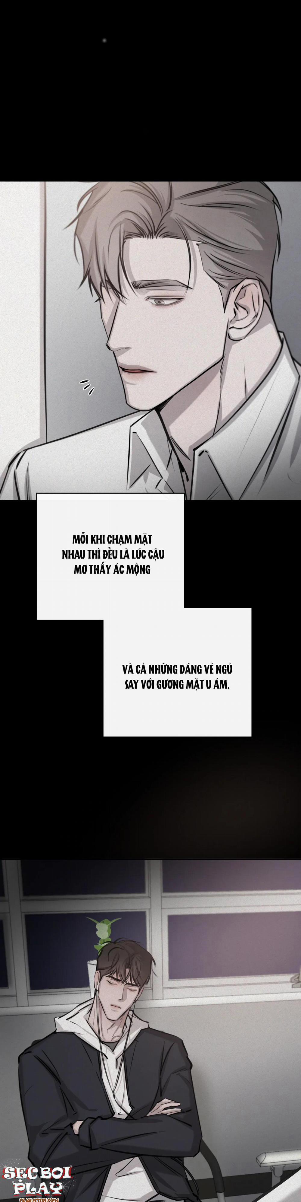 Giữa Tình Cờ Và Định Mệnh 10 trang 22