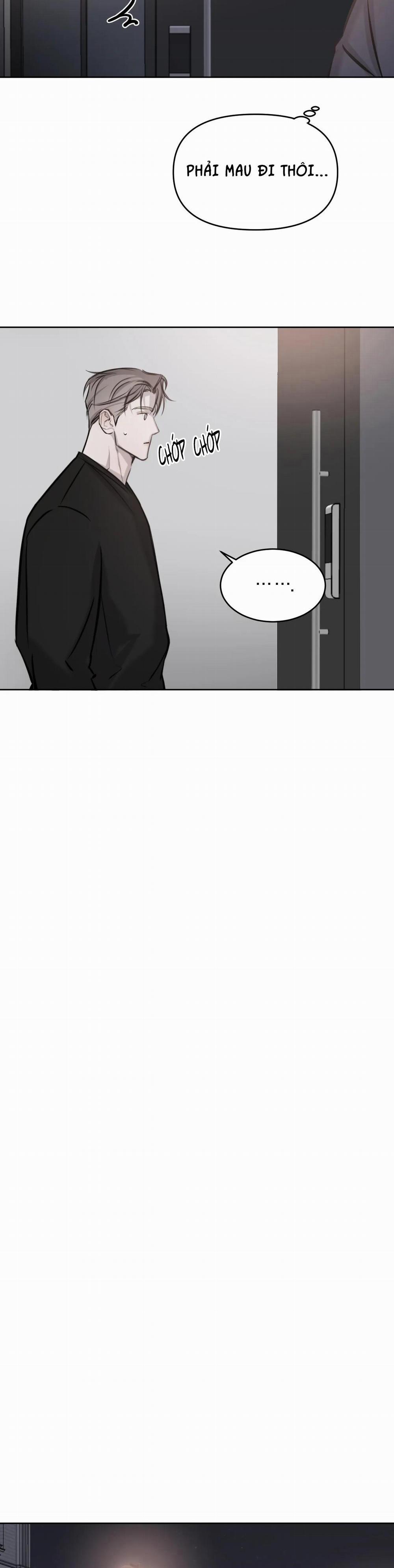 Giữa Tình Cờ Và Định Mệnh 11 trang 12