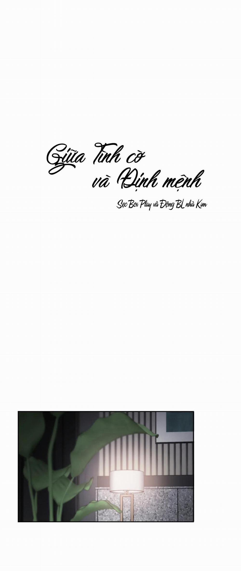 Giữa Tình Cờ Và Định Mệnh 19 trang 38