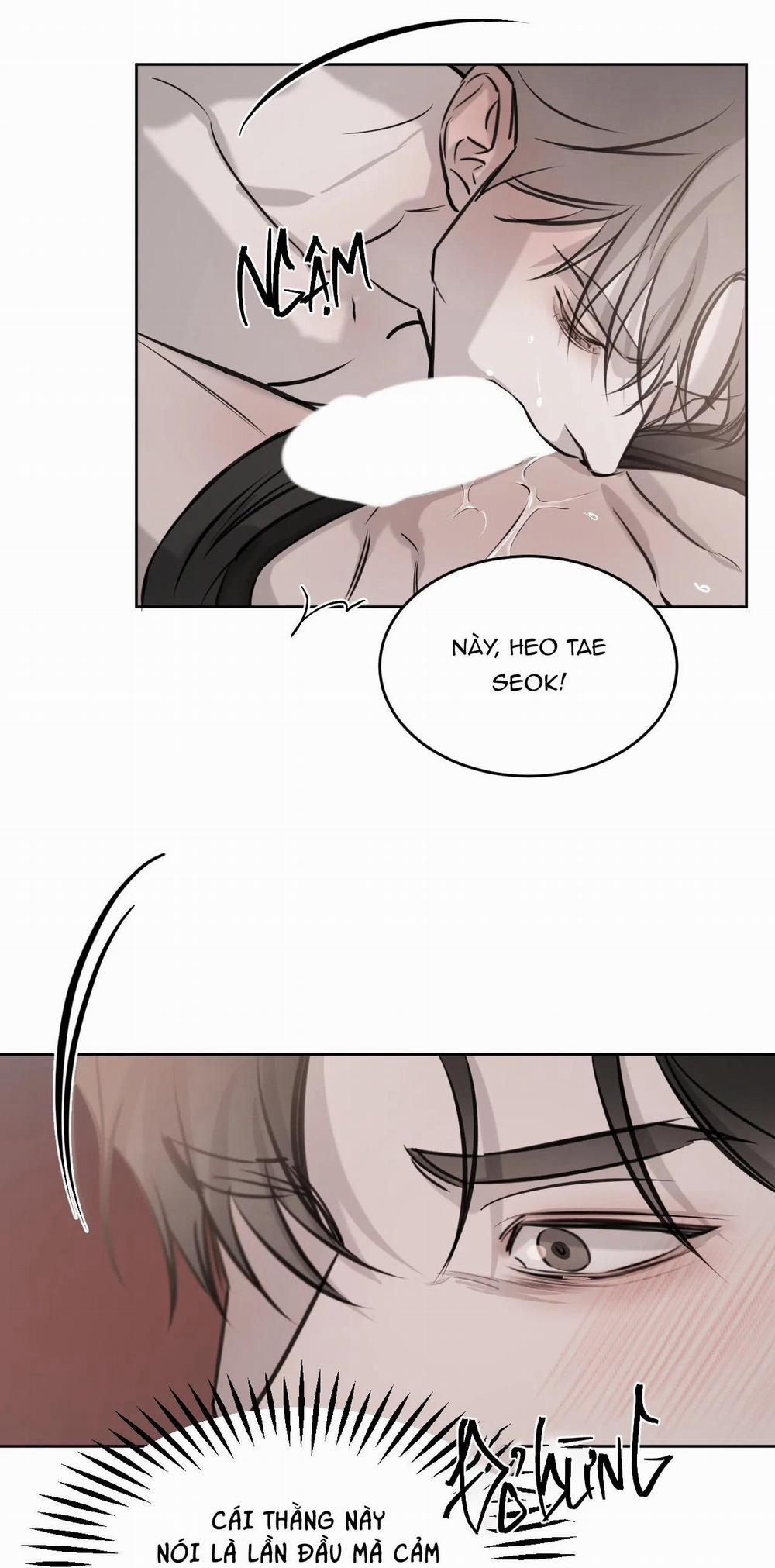 Giữa Tình Cờ Và Định Mệnh 21 trang 33