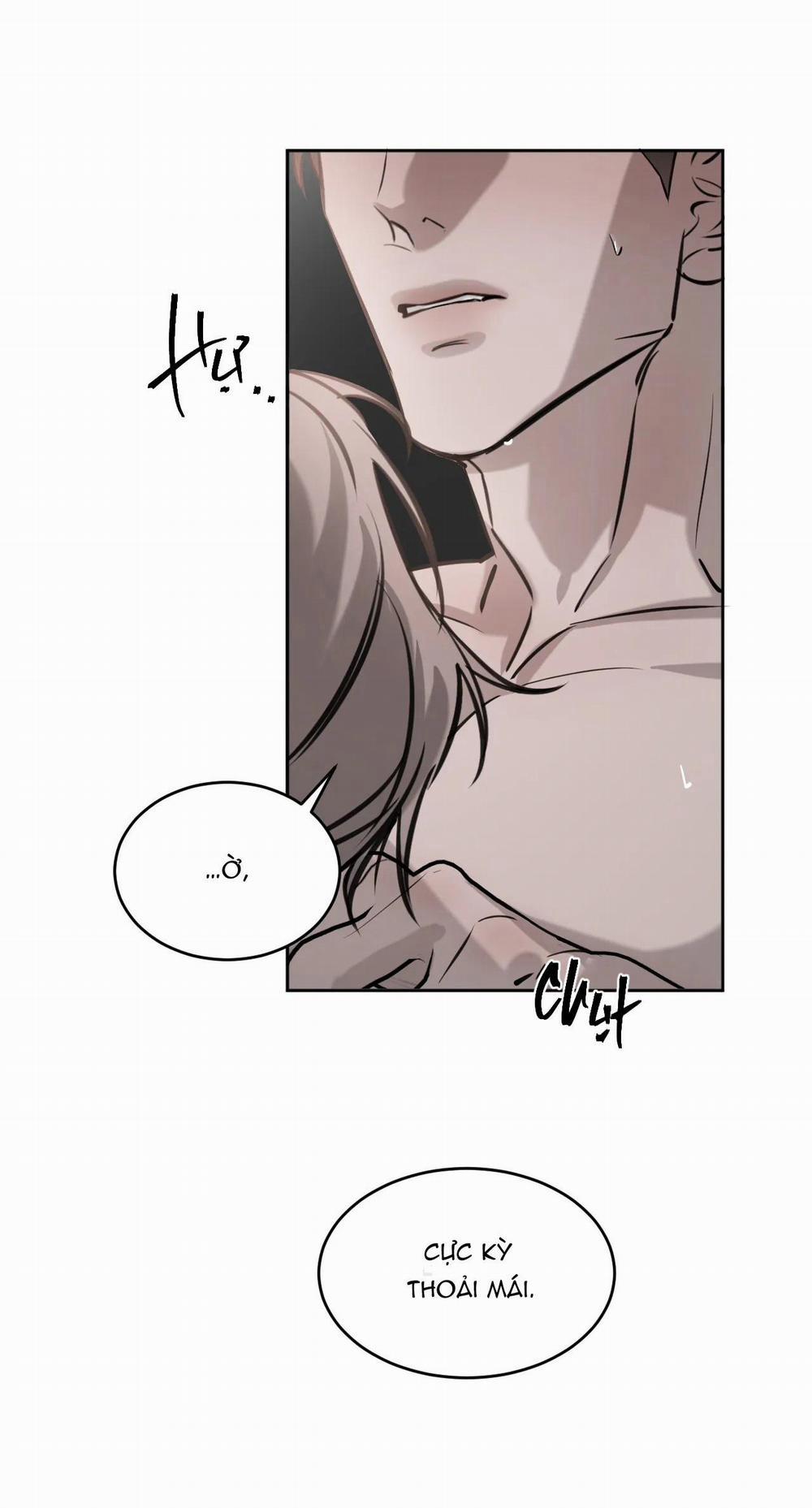 Giữa Tình Cờ Và Định Mệnh 21 trang 35