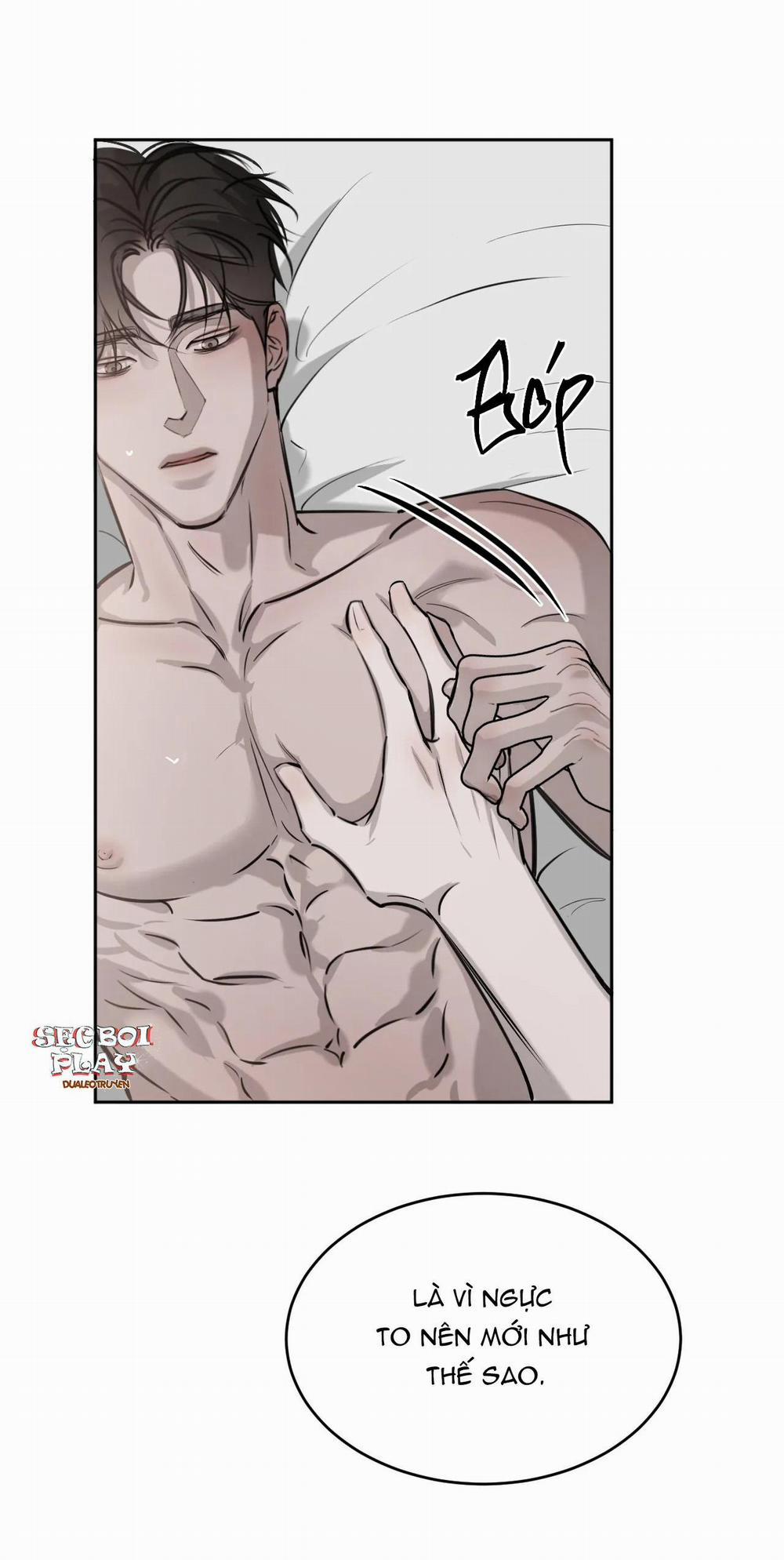 Giữa Tình Cờ Và Định Mệnh 21 trang 38