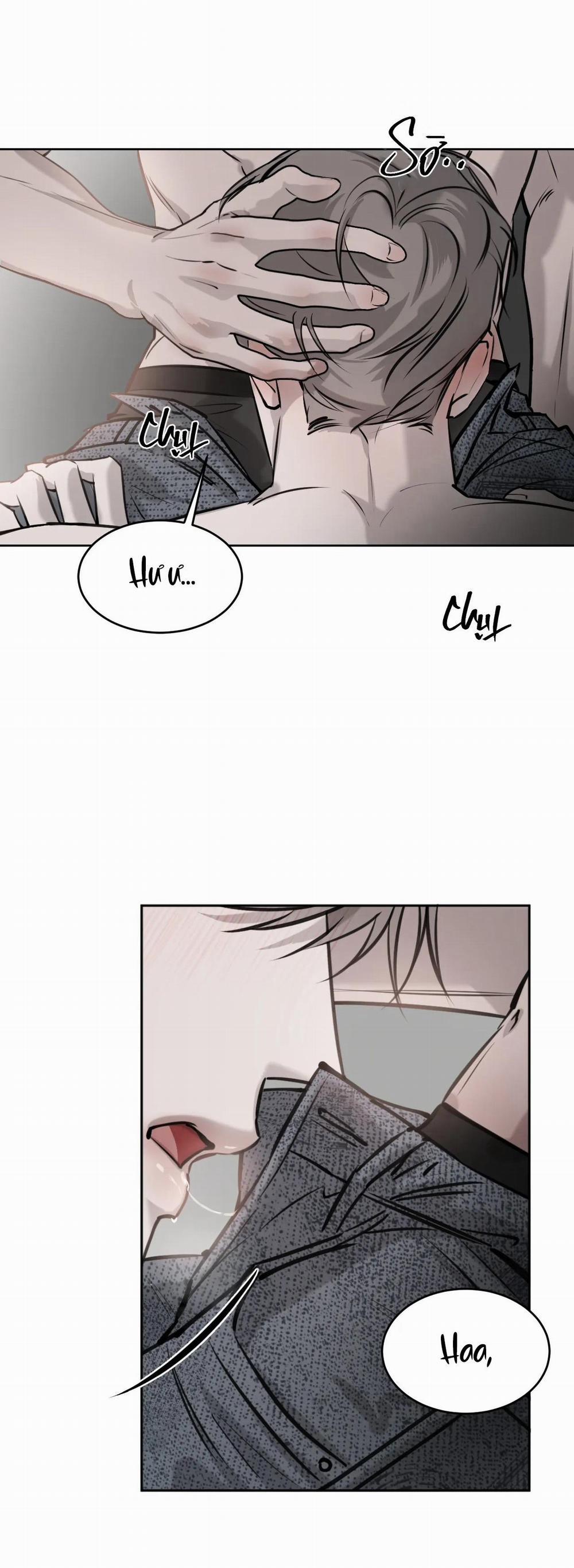 Giữa Tình Cờ Và Định Mệnh 21 trang 8