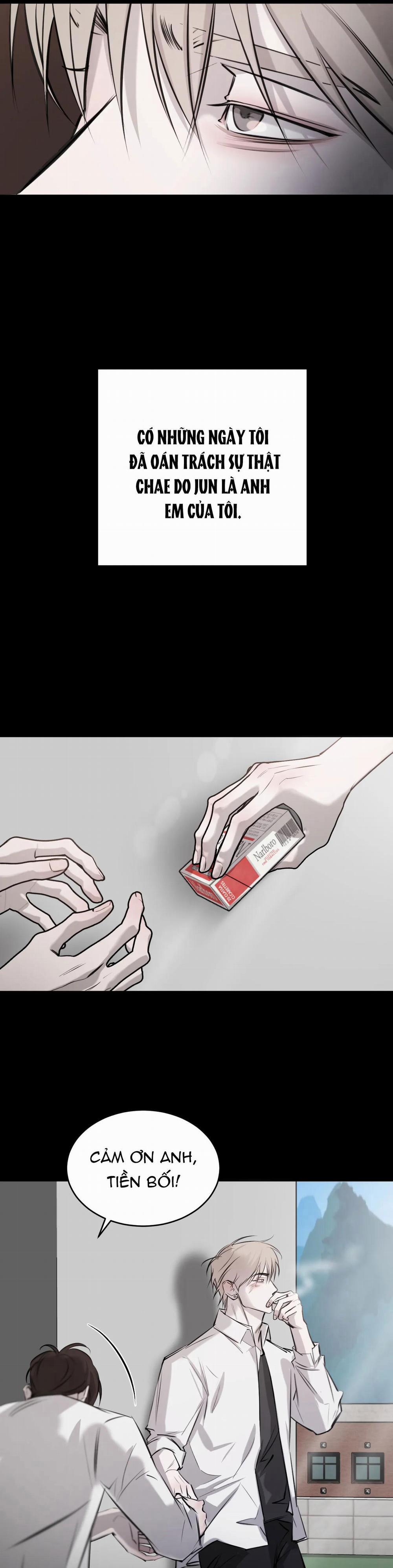 Giữa Tình Cờ Và Định Mệnh 25 trang 20