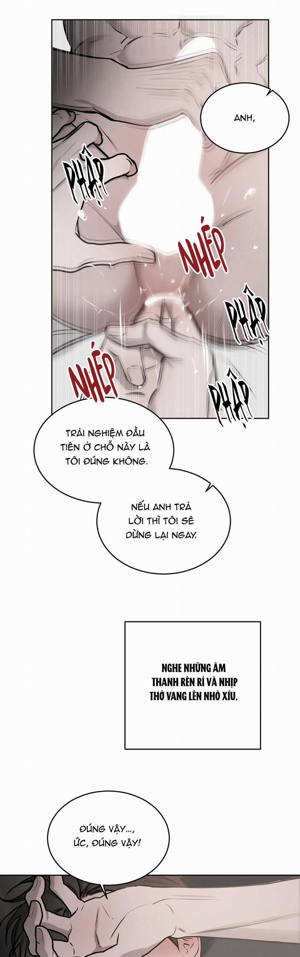 Giữa Tình Cờ Và Định Mệnh 28 trang 25