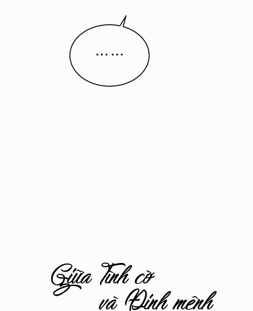 Giữa Tình Cờ Và Định Mệnh 29 trang 51