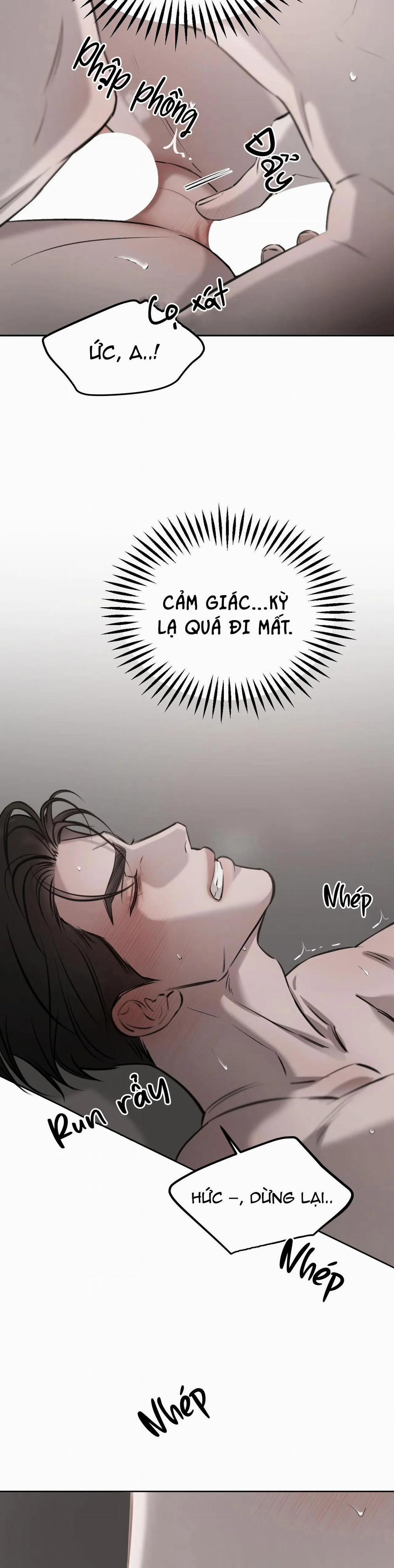 Giữa Tình Cờ Và Định Mệnh 32 trang 11