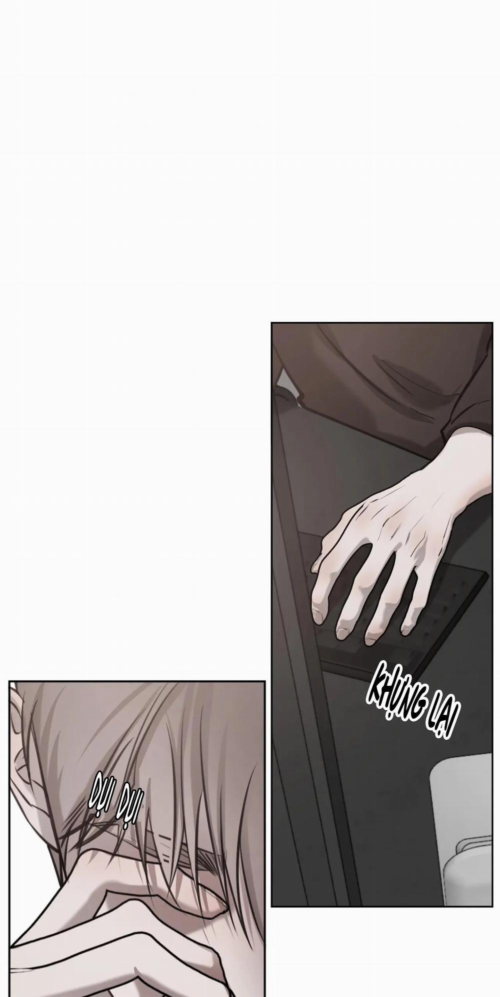 Giữa Tình Cờ Và Định Mệnh 36 trang 41