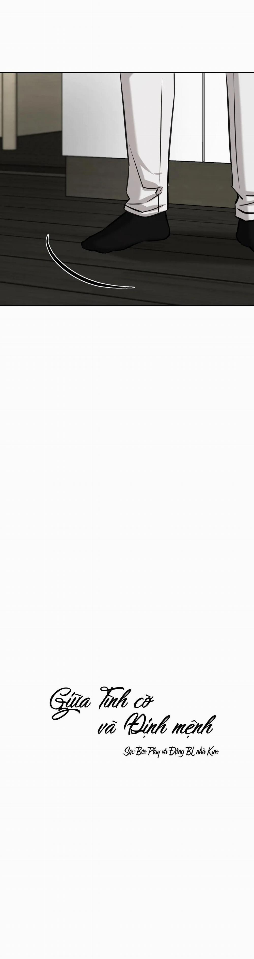 Giữa Tình Cờ Và Định Mệnh 40 trang 16