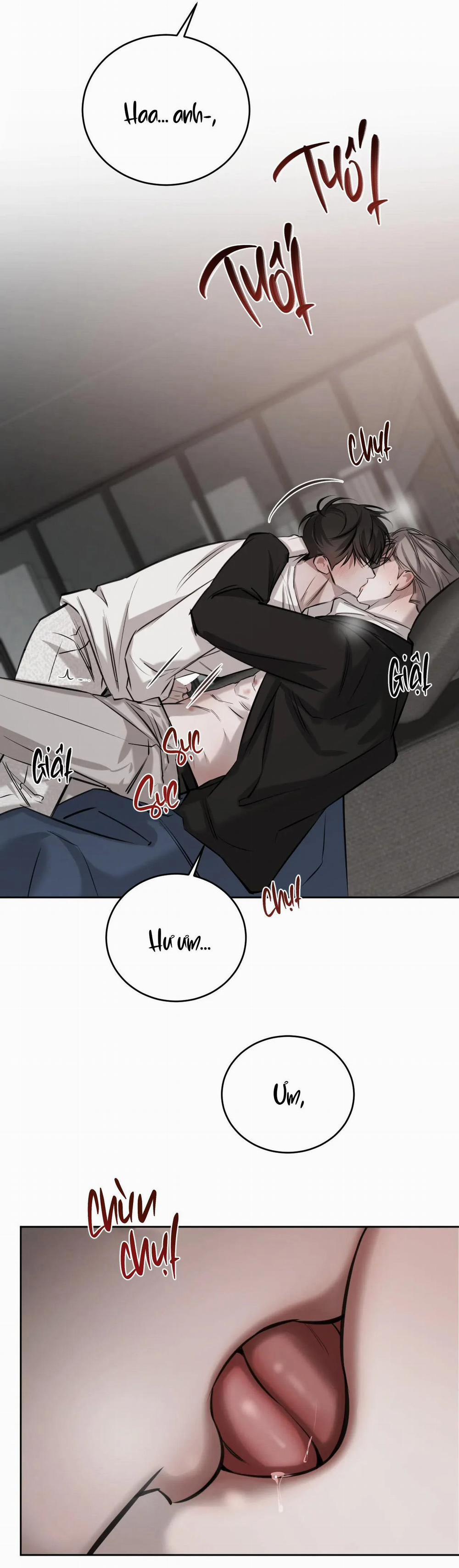 Giữa Tình Cờ Và Định Mệnh 47 trang 12