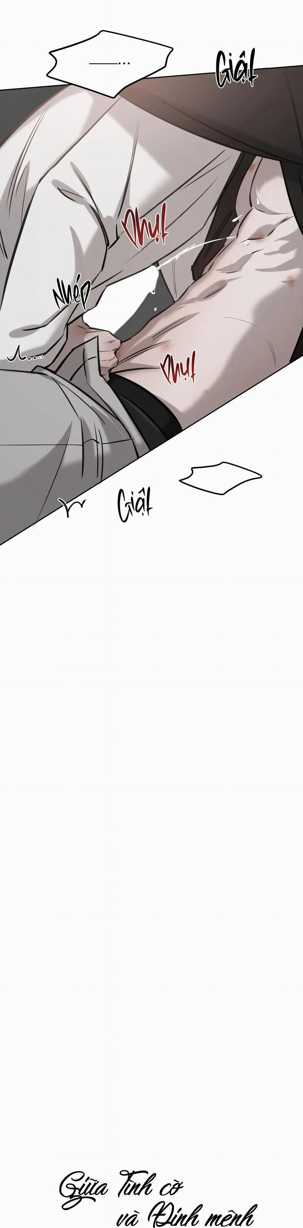 Giữa Tình Cờ Và Định Mệnh 47 trang 14