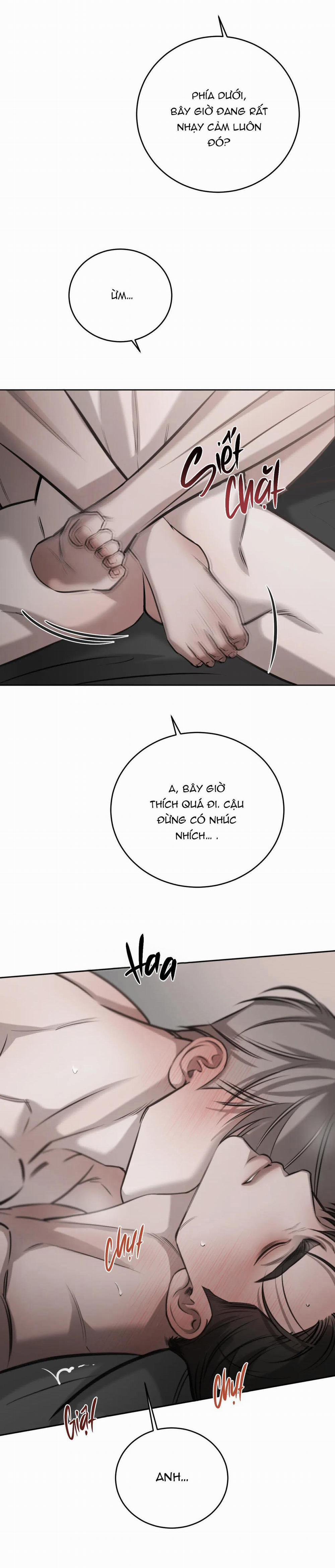 Giữa Tình Cờ Và Định Mệnh 48 trang 14