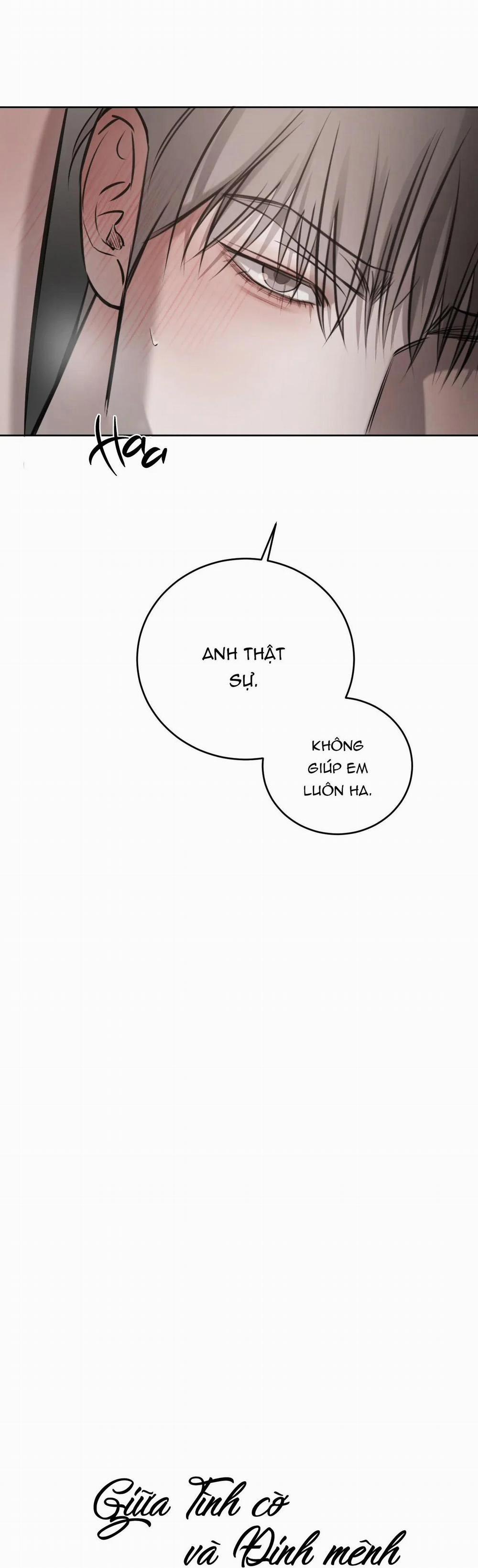 Giữa Tình Cờ Và Định Mệnh 48 trang 17