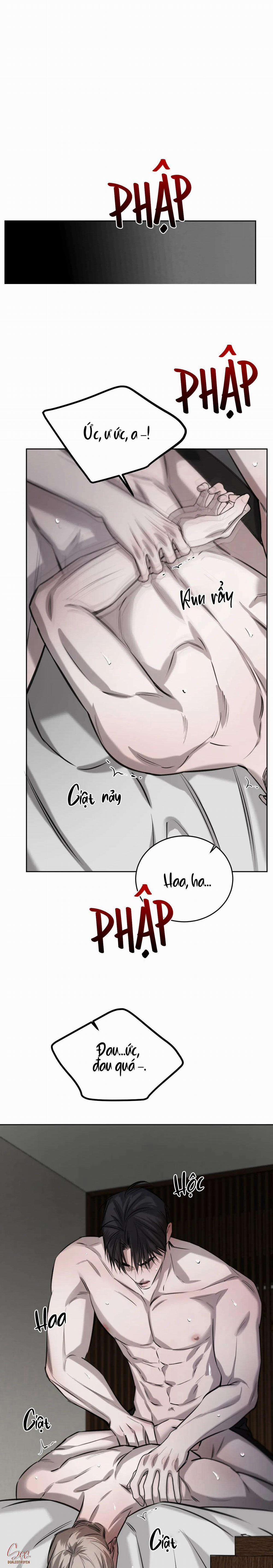 Giữa Tình Cờ Và Định Mệnh 52 trang 12