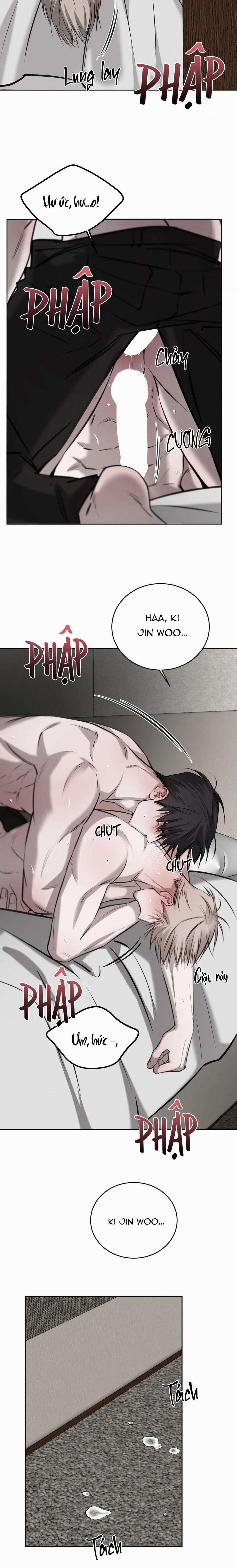 Giữa Tình Cờ Và Định Mệnh 52 trang 13