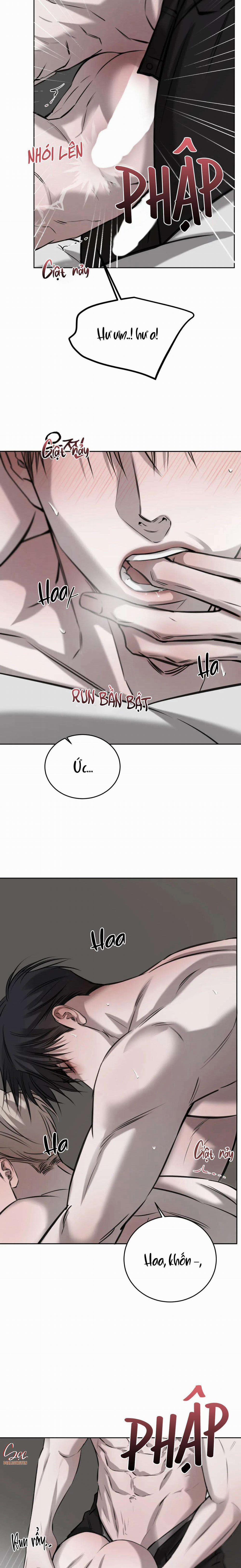 Giữa Tình Cờ Và Định Mệnh 52 trang 15