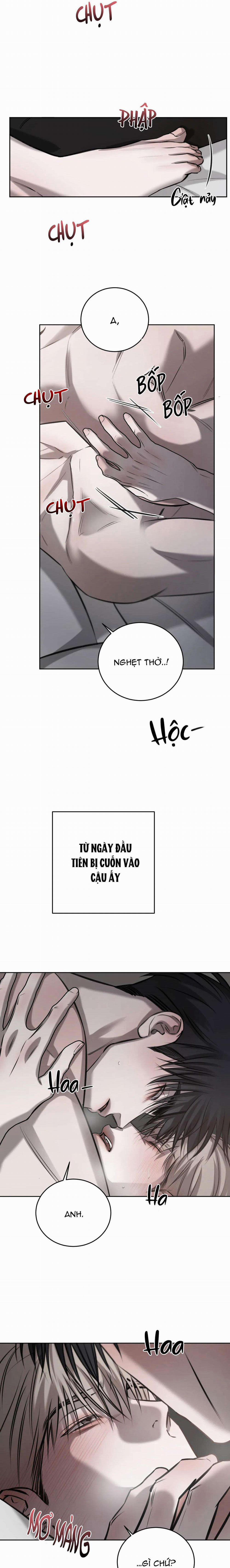 Giữa Tình Cờ Và Định Mệnh 52 trang 5