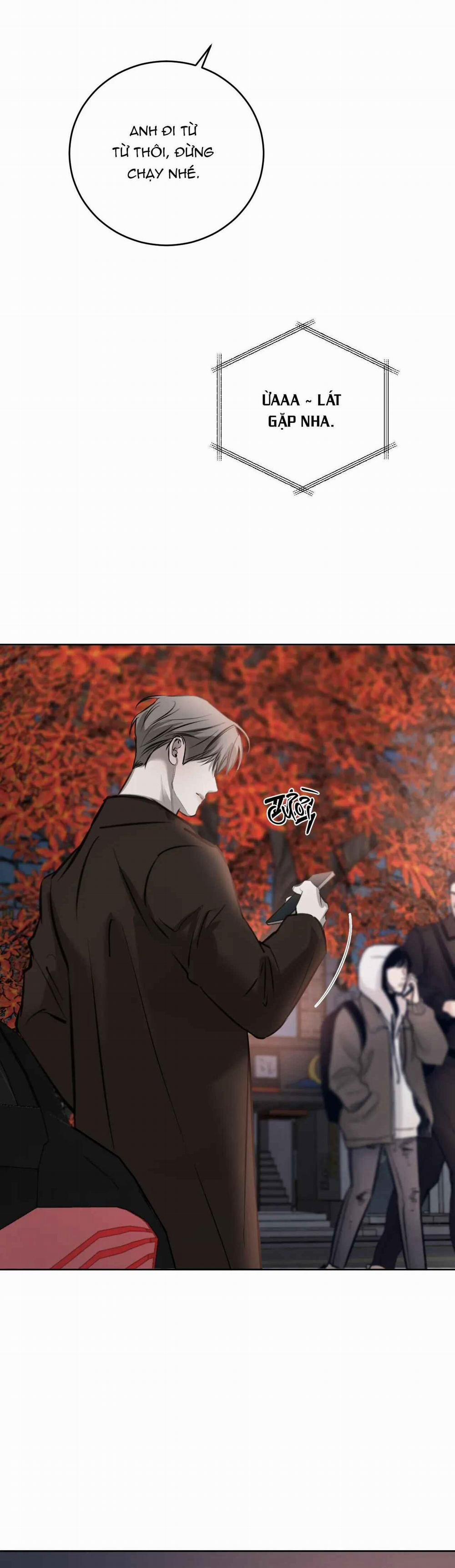 Giữa Tình Cờ Và Định Mệnh 78 trang 26