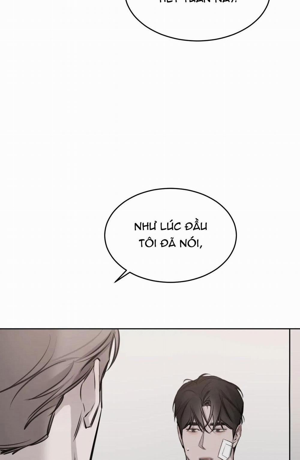 Giữa Tình Cờ Và Định Mệnh 8 trang 48