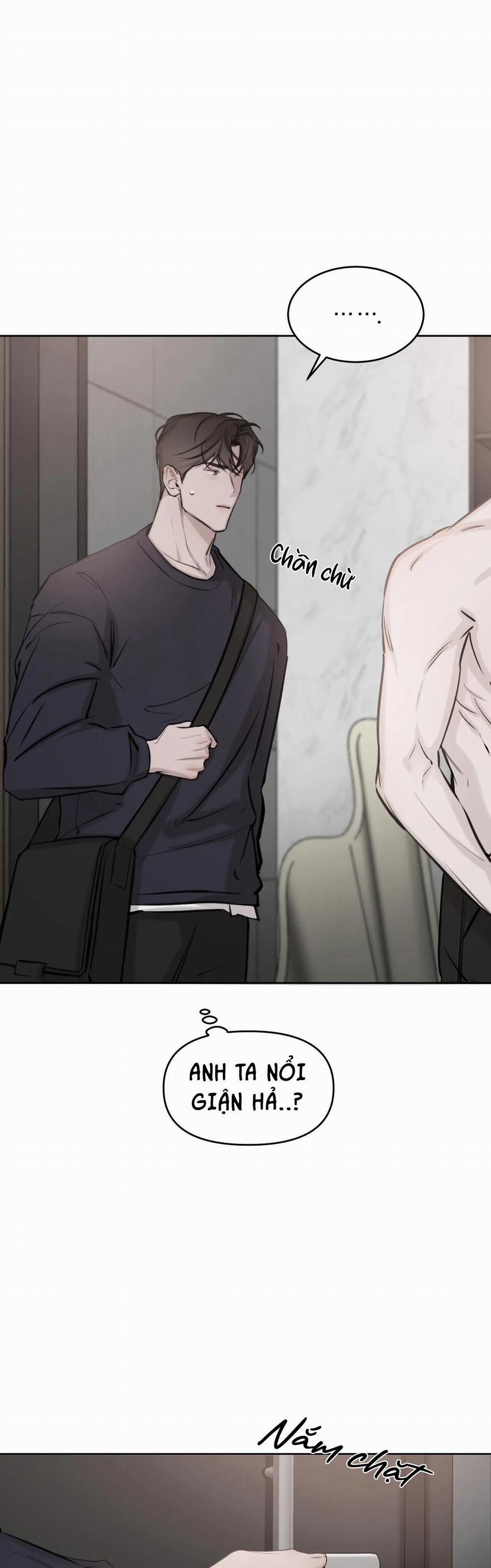 Giữa Tình Cờ Và Định Mệnh 9 trang 19