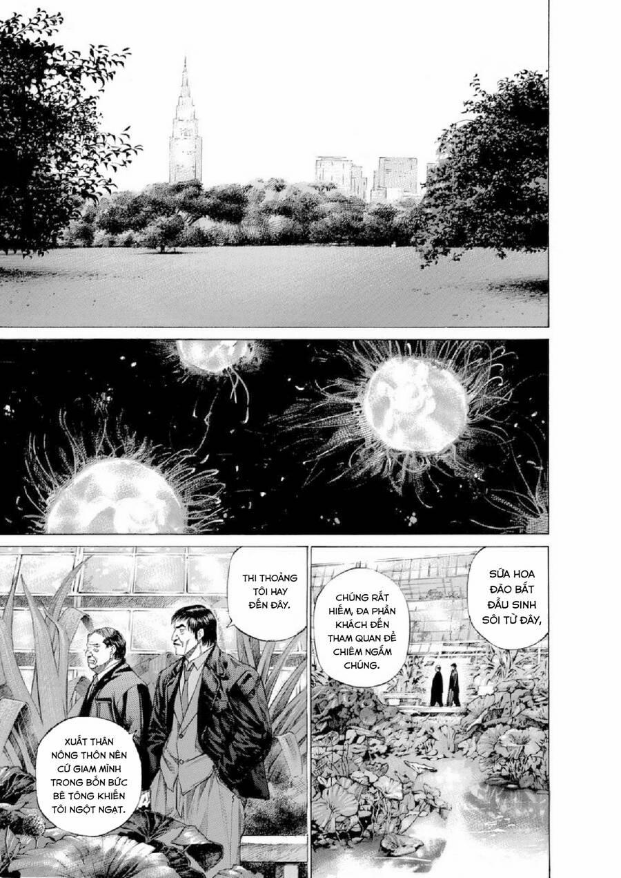 Give My Regards To Black Jack 102 trang 11