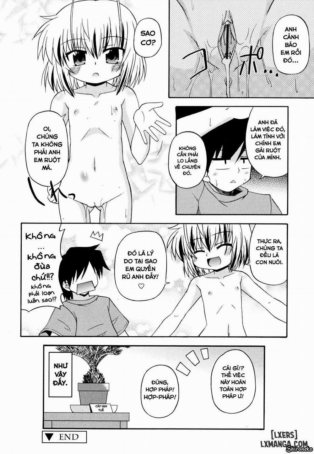 Gohoteki Mini Size 7 trang 19