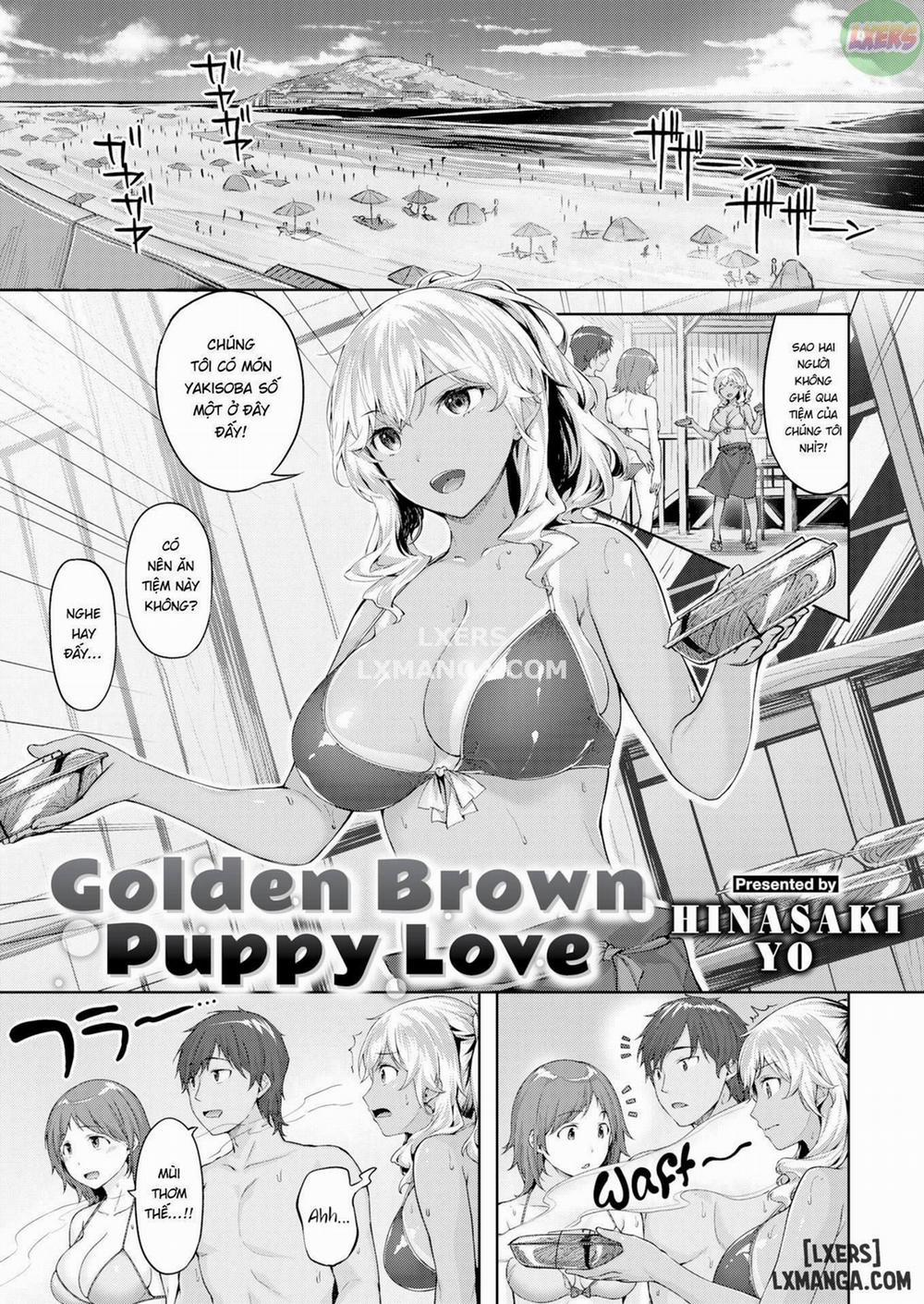 Golden Brown Puppy Love Chương Oneshot Trang 1