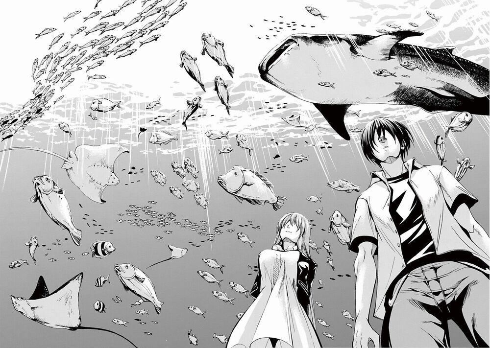 Grand Blue – Cô Gái Thích Lặn 4 trang 35