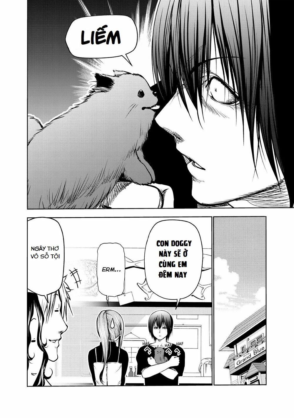 Grand Blue – Cô Gái Thích Lặn 61.5 trang 11
