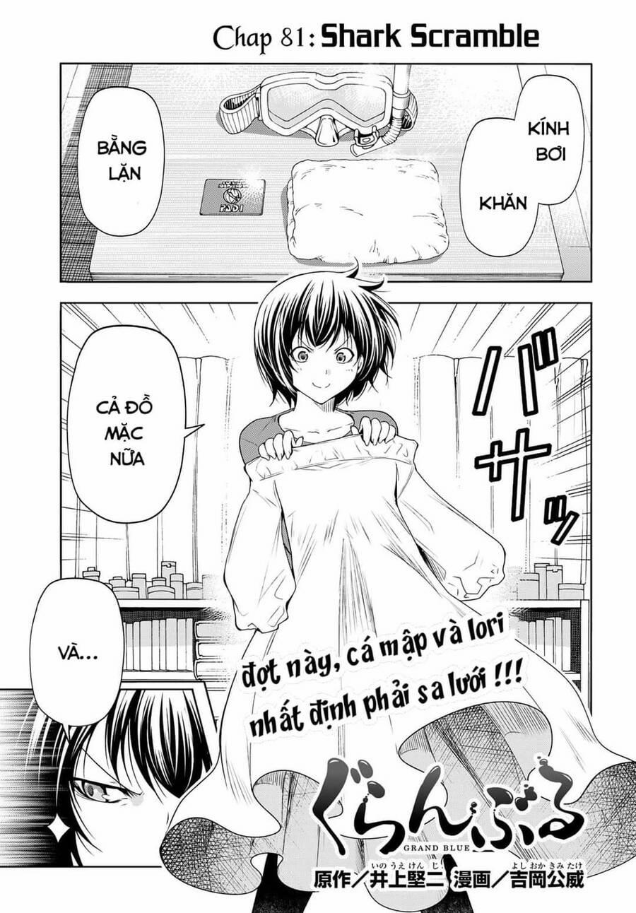 Grand Blue – Cô Gái Thích Lặn Chương 81 Trang 1