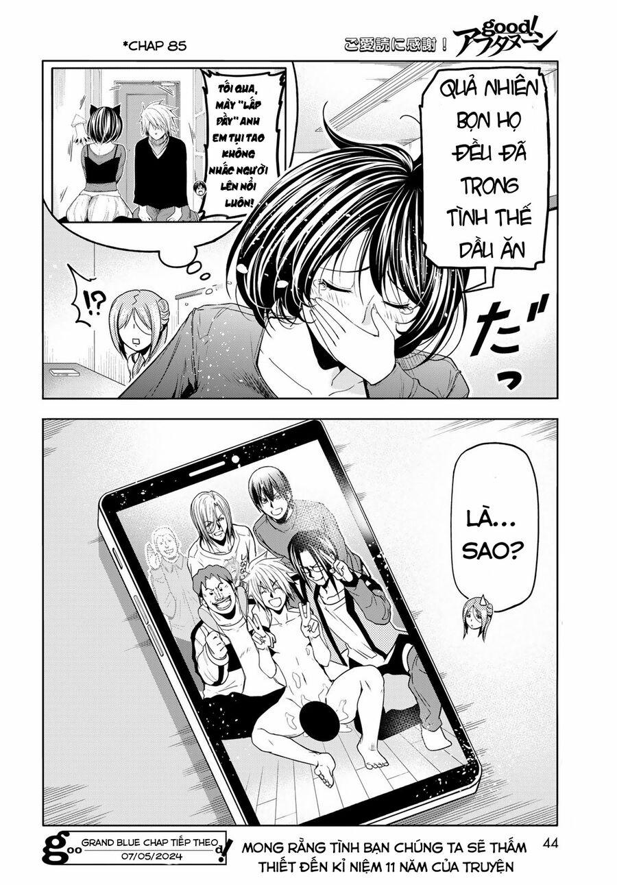 Grand Blue - Cô Gái Thích Lặn Chương 92 5 Trang 44