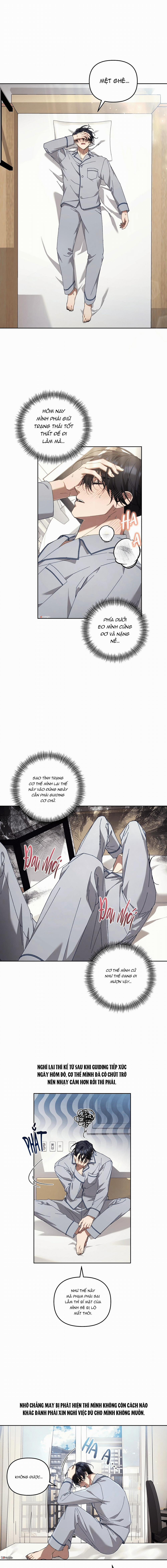 Guide Cấp S Phết Mật Ong 23 trang 2