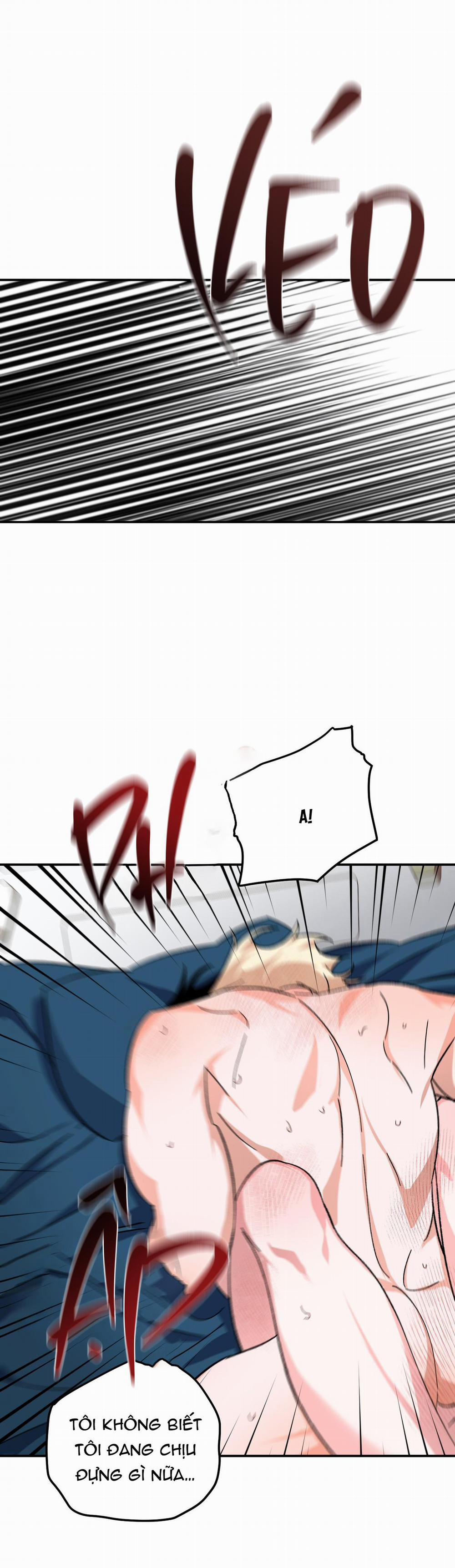 GUIDE ESPER NGẮN 2.6 PUCK END trang 44