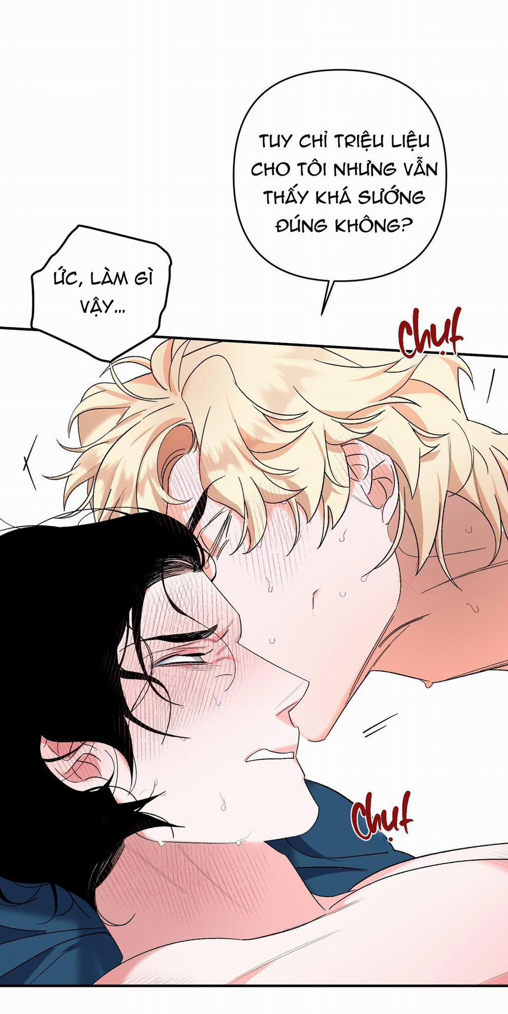 GUIDE ESPER NGẮN 2.6 PUCK END trang 50