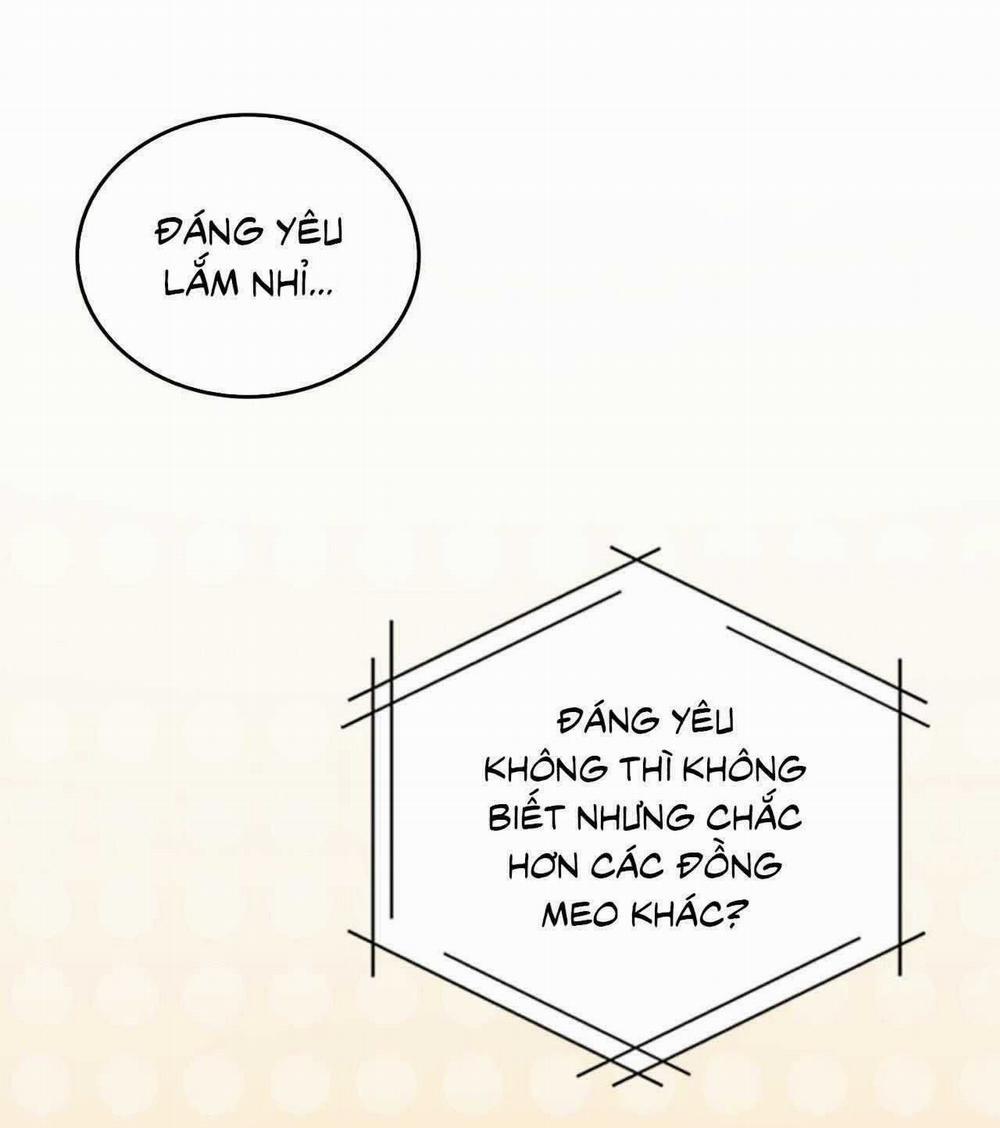 Guild Member 61 trang 10