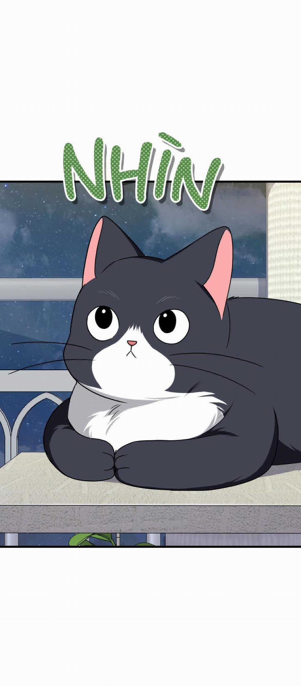 Guild Member 69 trang 56