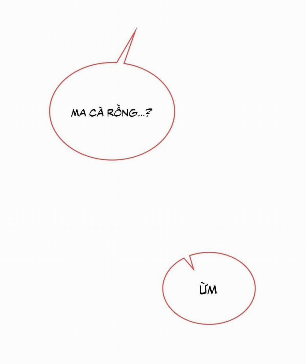 Guild Member 75 trang 25