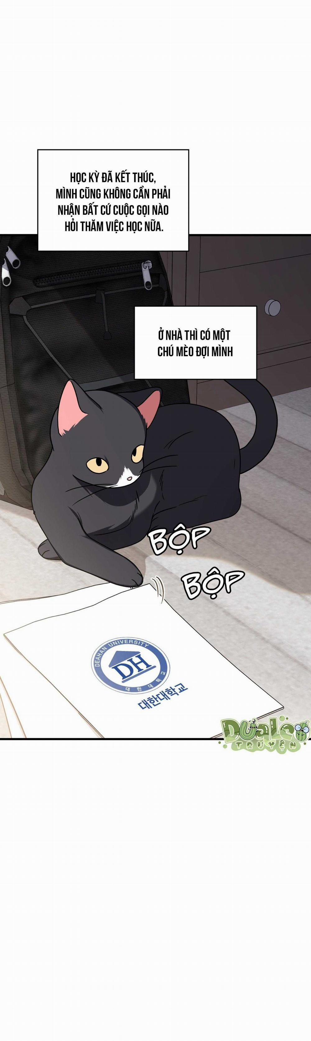 Guild Member 75 trang 5