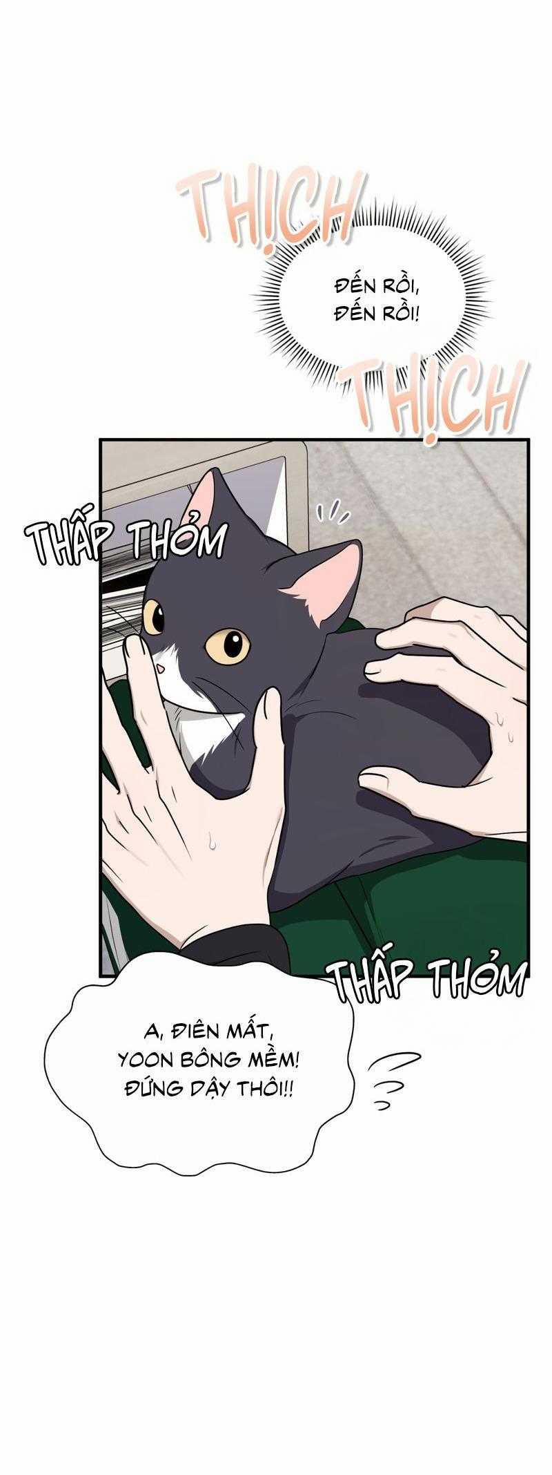 Guild Member 76 trang 4