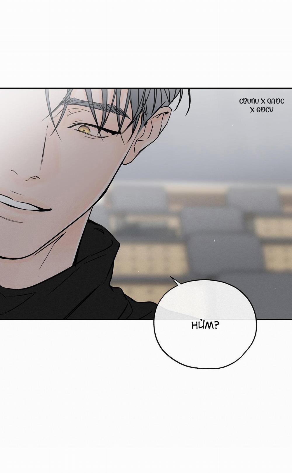 Hạ Cánh Cuối Chân Trời 8 trang 13