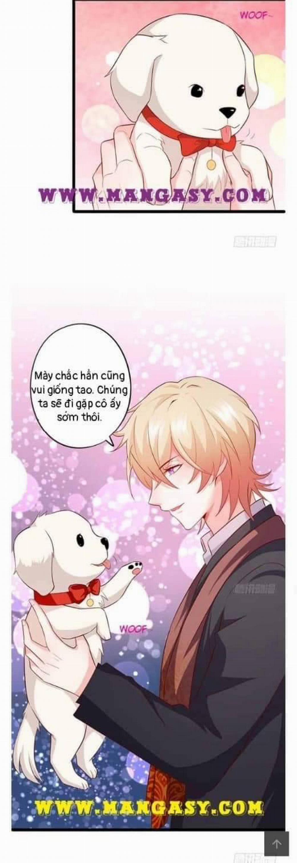 Hắc Đạo Đáng Yêu 104 trang 26