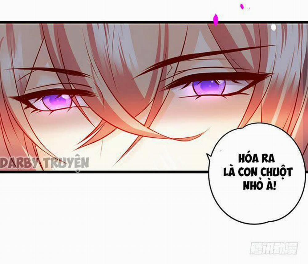 Hắc Đạo Đáng Yêu 11 trang 67