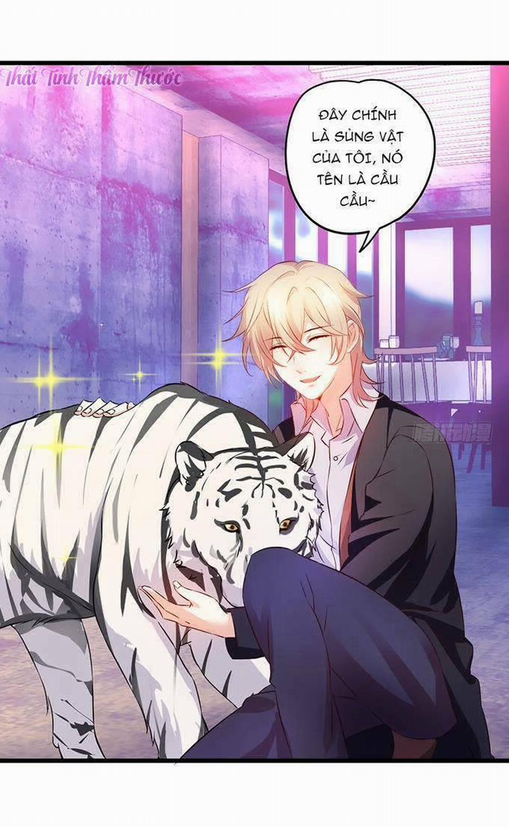 Hắc Đạo Đáng Yêu 13 trang 11