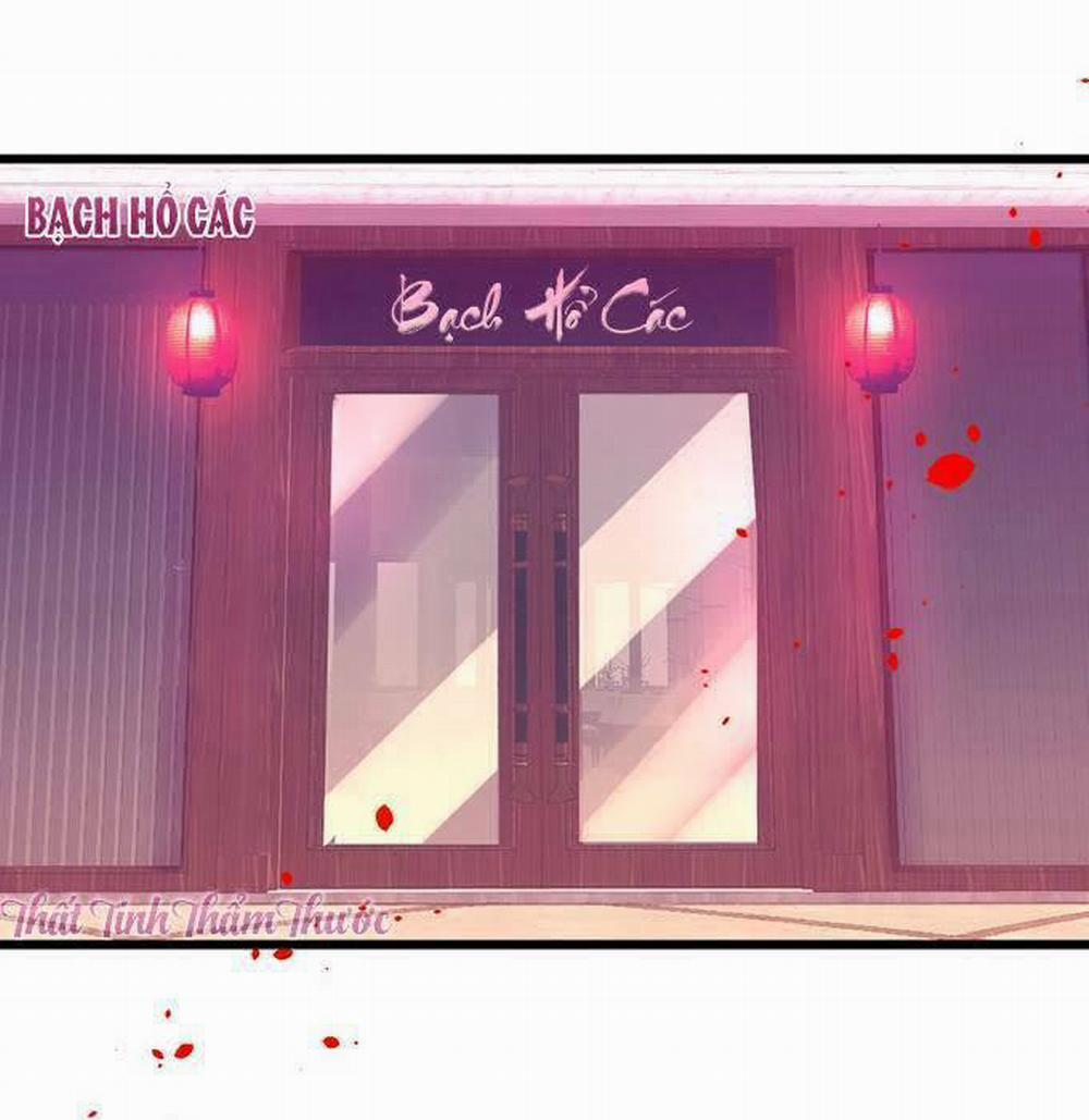 Hắc Đạo Đáng Yêu 13 trang 5