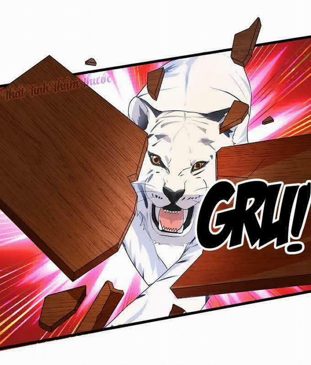 Hắc Đạo Đáng Yêu 14 trang 4