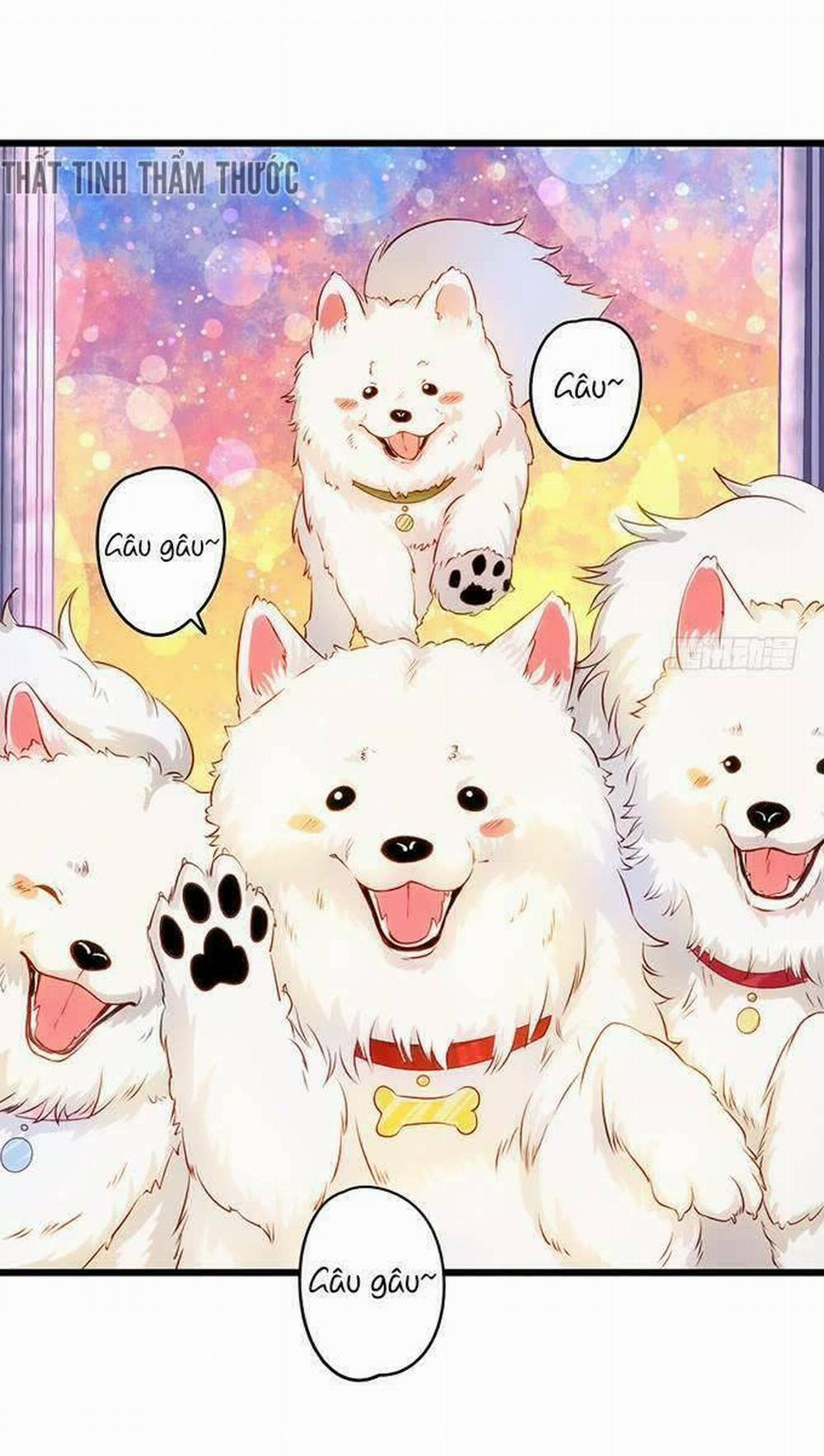 Hắc Đạo Đáng Yêu 18 trang 14