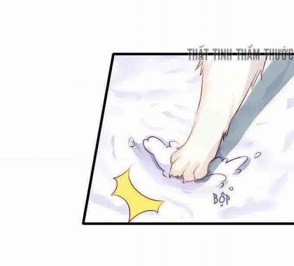 Hắc Đạo Đáng Yêu 18 trang 33